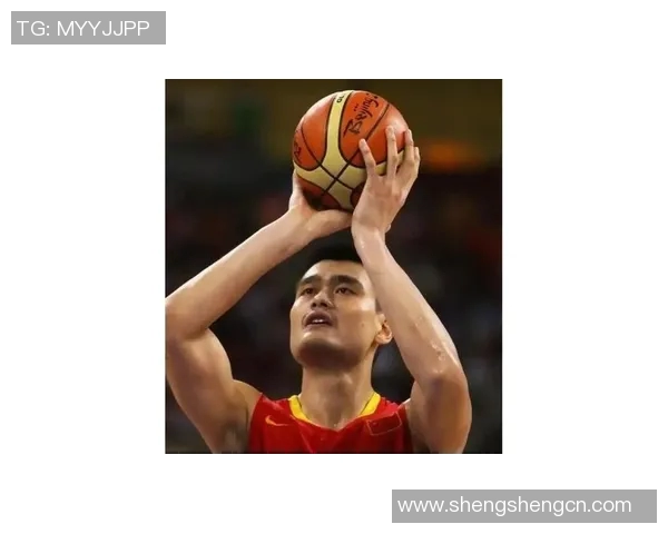 2005年姚明季后赛精彩回顾与传奇时刻的深度解析