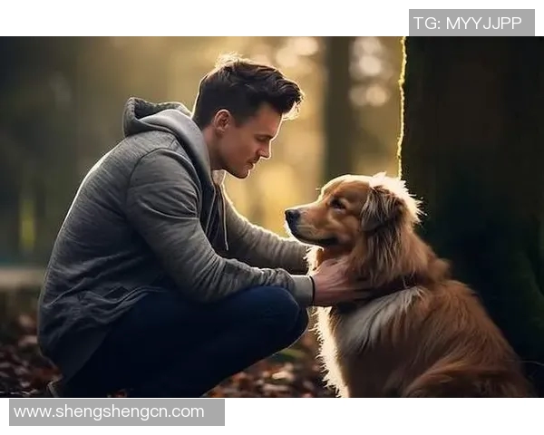 足球场上的猫咪情缘爱猫的明星球员们的温暖故事 足球场上的猫咪情缘爱猫的明星球员们的温暖故事